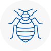 Bed Bug Extermination In Crowthorne