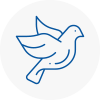 Bird Prevention Crowthorne