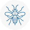Crowthorne Hornet Nest Removals