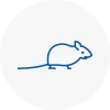 Mice Exterminators In Crowthorne