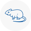 Rat Control Crowthorne