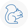 Crowthorne Rodent Removals