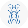 Crowthorne Wasp Nest Removal